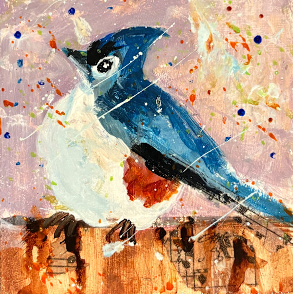 Blue Jay by karen pedersen