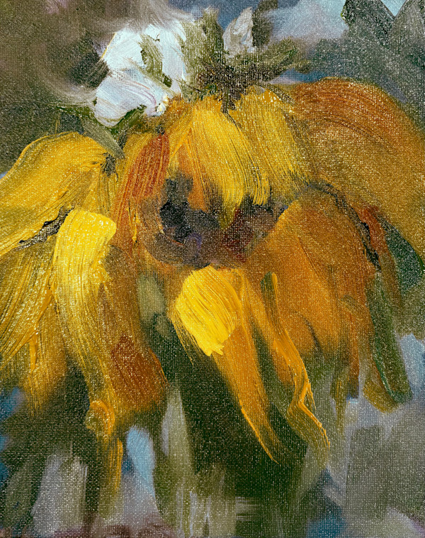 Floral Radiance by karen pedersen
