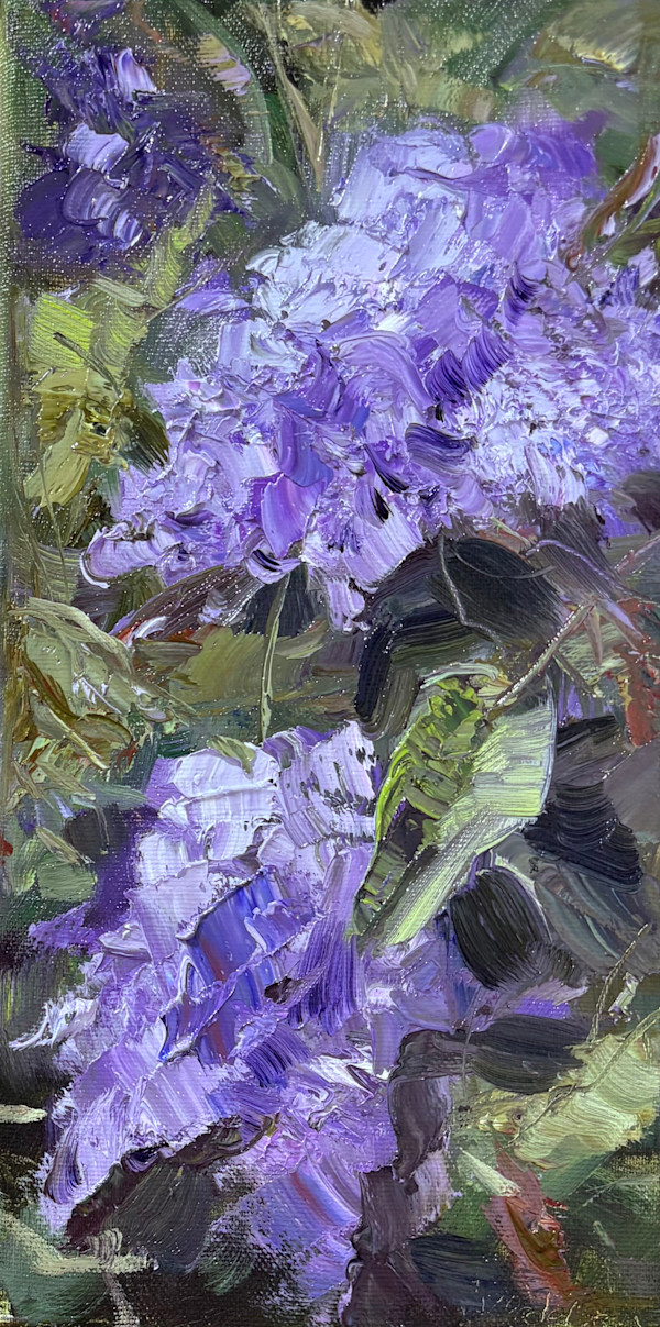 Backyard Lilacs by karen pedersen