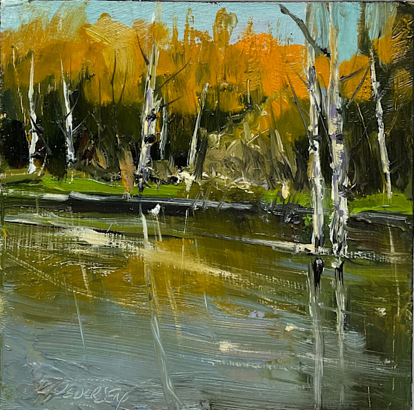 Birch on the rivers Edge by karen pedersen