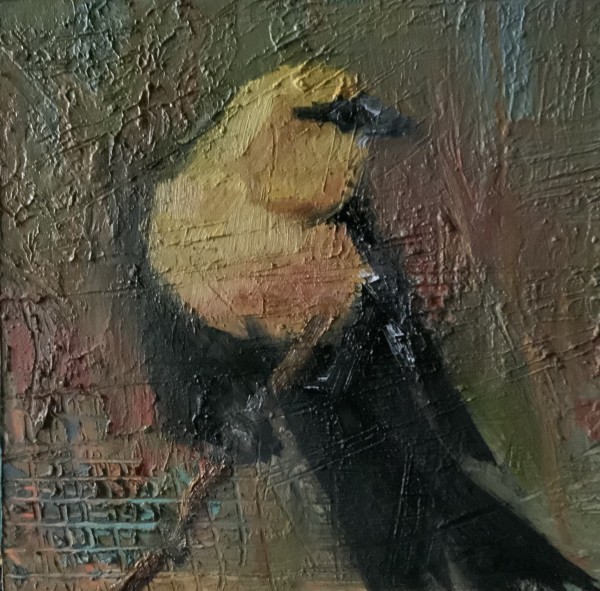 Yellow headed Blackbird II by karen pedersen