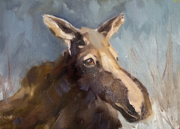 Moose by karen pedersen
