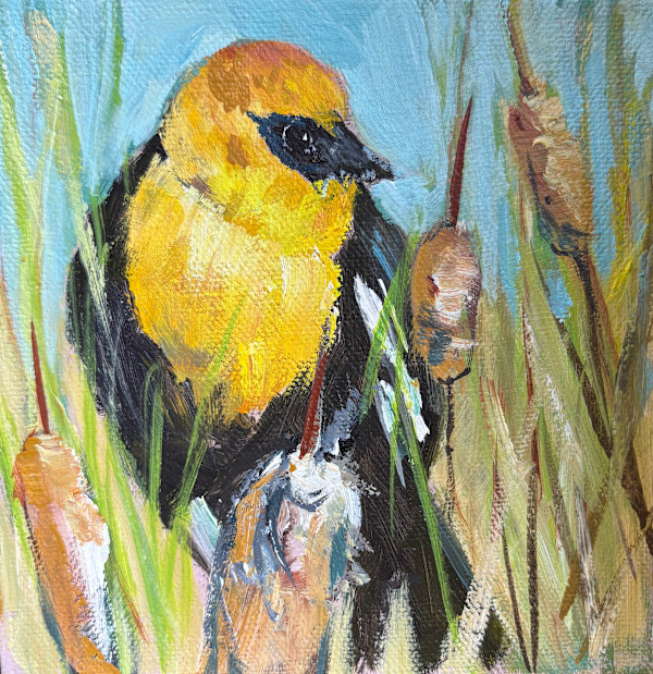 Yellow Headed Blackbird II by karen pedersen, Image 1.