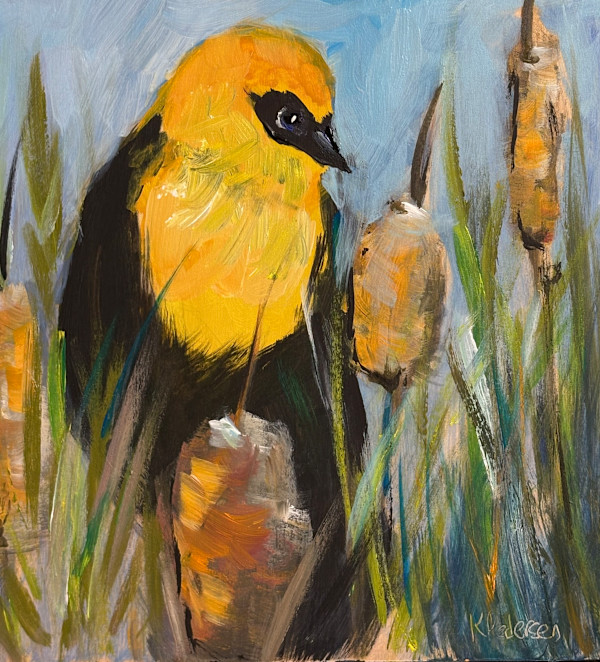 Yellow headed Blackbird by karen pedersen, Image 1.