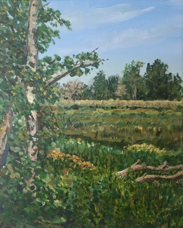 Tamarack Wetland by Daniel Hendricksen