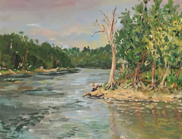 Mississippi River at Pike Island by Daniel Hendricksen