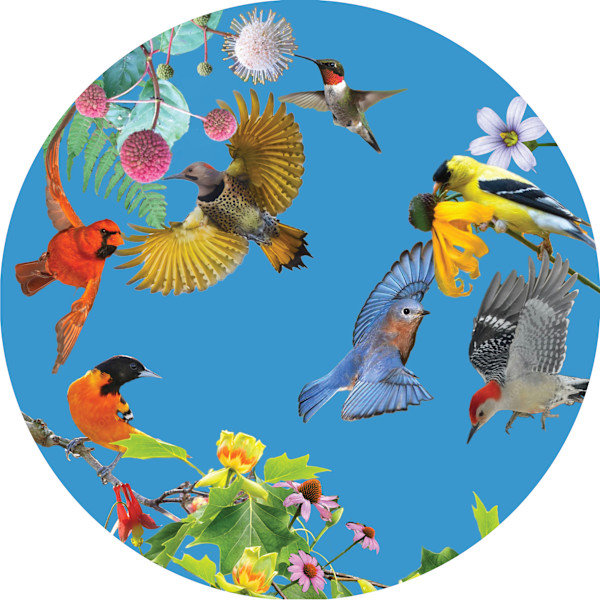 04 In Flight - Native Birds of Maryland - Bethesda Road Mural Finalist Proposal, 1 of 3 by Jennifer Brewer Stone, Image 1.