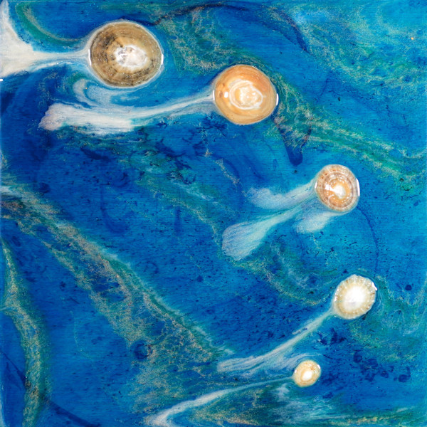 Archipelagos II by Jennifer Brewer Stone