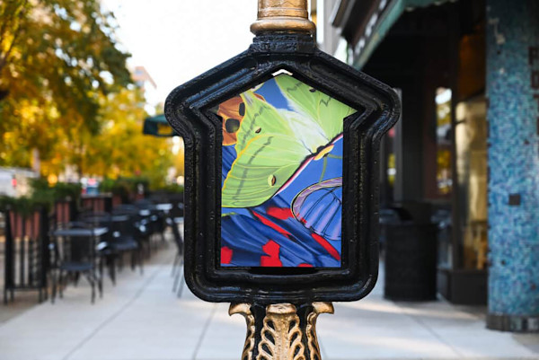 Flutter  - Version 2 - Golden Triangle BID Historic Call Box, 2 of 8 by Jennifer Brewer Stone, Image 1.