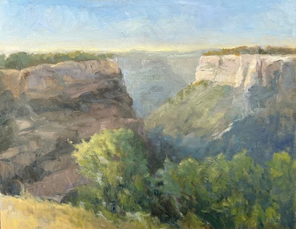 Canyon Light by Amy Evans