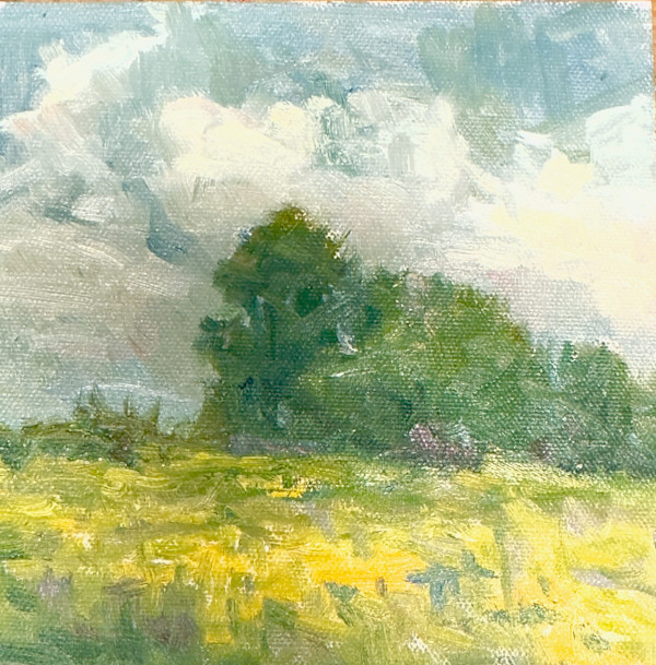 Afternoon Brewing by Amy Evans