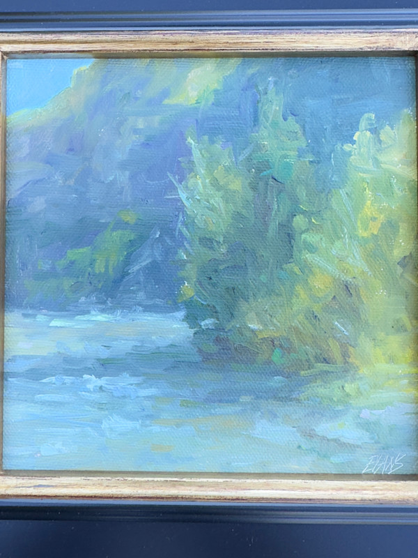 Where Willows Glow by Amy Evans