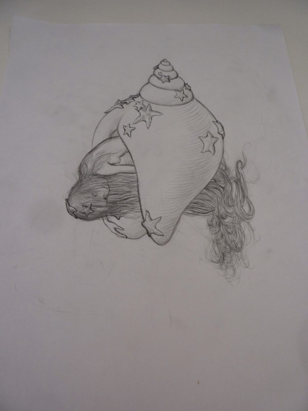 Conch sketch by James Jean