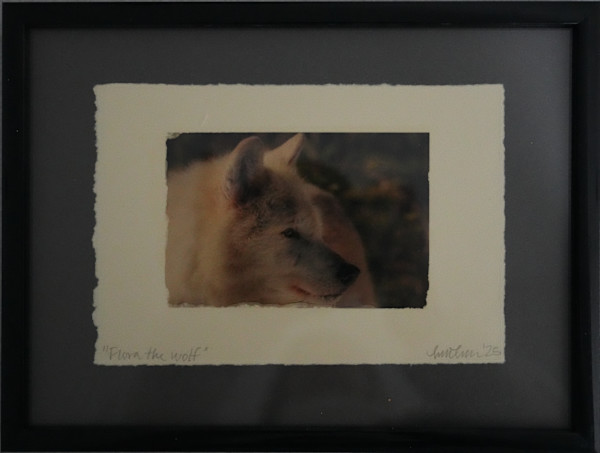 Flora the wolf by Lisa Libretto