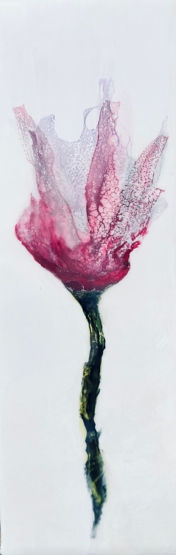 Blush Study by Lisa Libretto, Image 4.