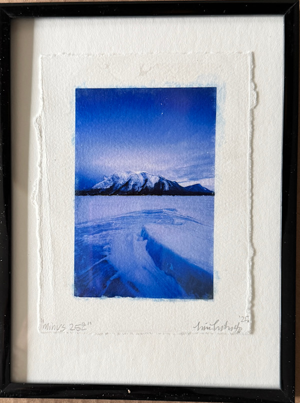 Minus 25C by Lisa Libretto