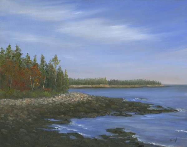 Acadia Shoreline by Tarryl Gabel