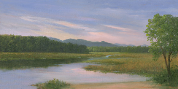 Morning Light Ausable Point Marsh