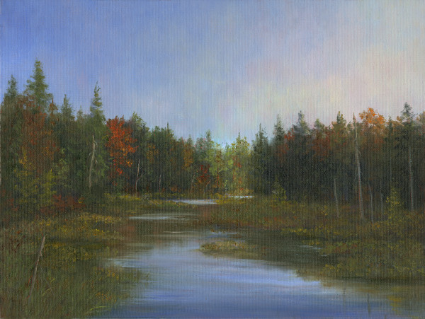 Fall Colors, Marsh in Acadia Maine by Tarryl Gabel