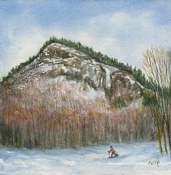 Cross Country Skier, Crawford Notch NH by Tarryl Gabel