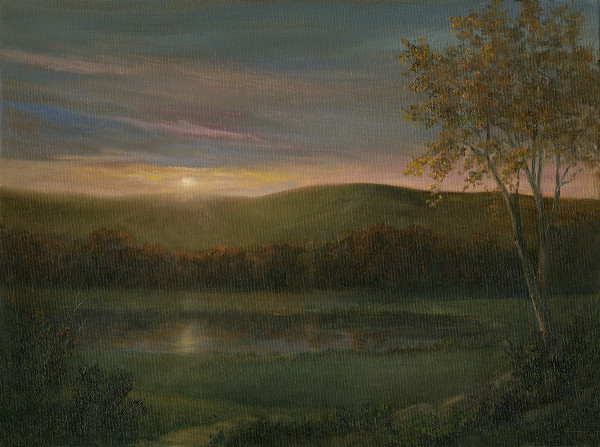 Sunset over the pond by Tarryl Gabel