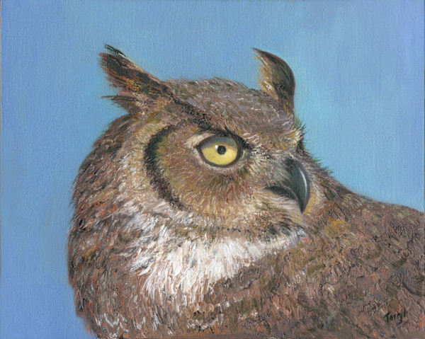 Horned Owl closeup by Tarryl Gabel, Image 1.