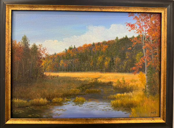 Along Stony Creek Ponds, ADKS by Tarryl Gabel