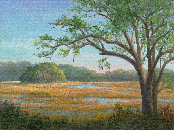 Island in the marsh, Hilton Head SC by Tarryl Gabel, Image 1.
