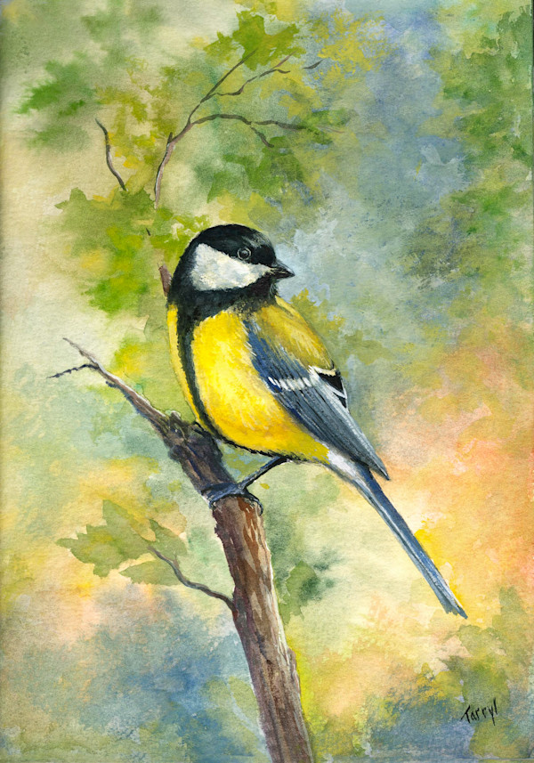 Titmouse by Tarryl Gabel