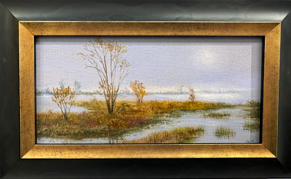 Sun burning through - from Tupper Causeway by Tarryl Gabel