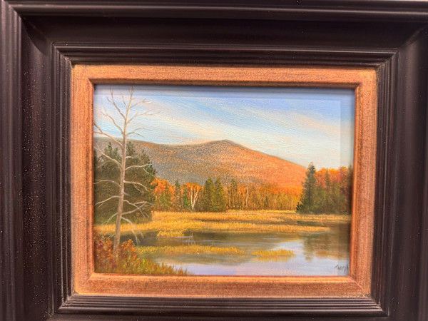 Mountains and Marsh mini by Tarryl Gabel