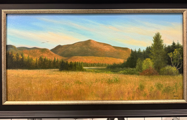 Golden Meadow and Mountains…ADK Loj Road by Tarryl Gabel