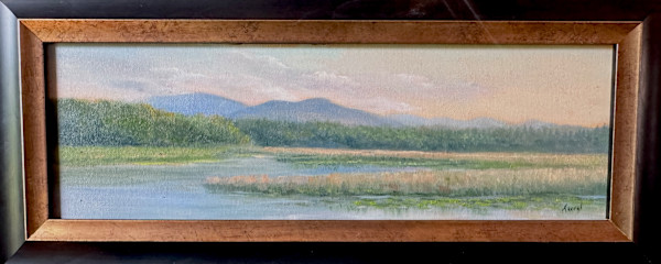 Ausable Point Marsh, afternoon light by Tarryl Gabel, Image 1.