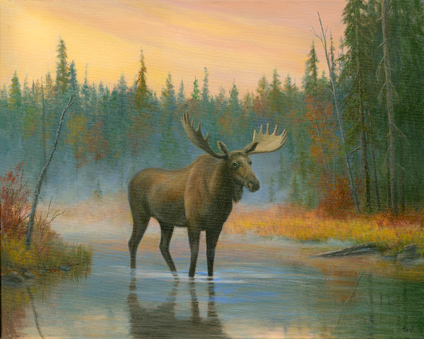 Old Bull Moose by Tarryl Gabel