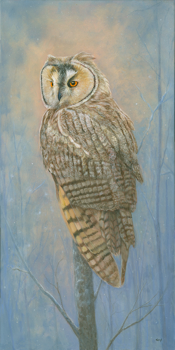 Long Eared Owl by Tarryl Gabel