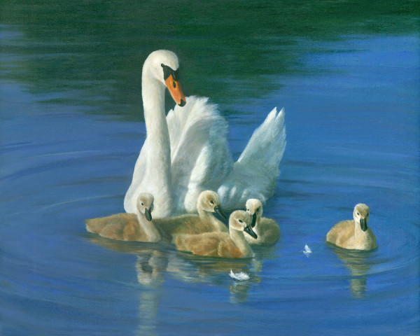 Swan and babies on blue by Tarryl Gabel