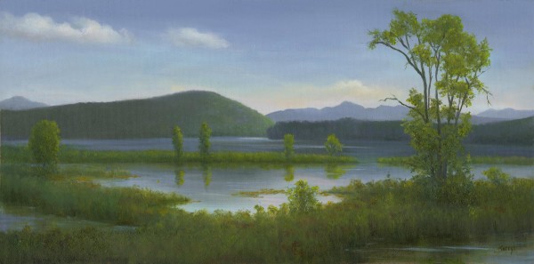 Blues and Greens of Tupper Lake by Tarryl Gabel