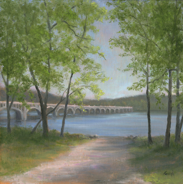 Veteran's Memorial Bridge, Susquehanna River PA by Tarryl Gabel