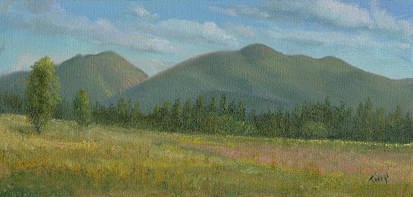 View from ADK Loj Rd by Tarryl Gabel