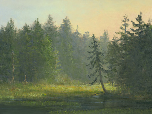 Backlit marsh- Adirondacks by Tarryl Gabel