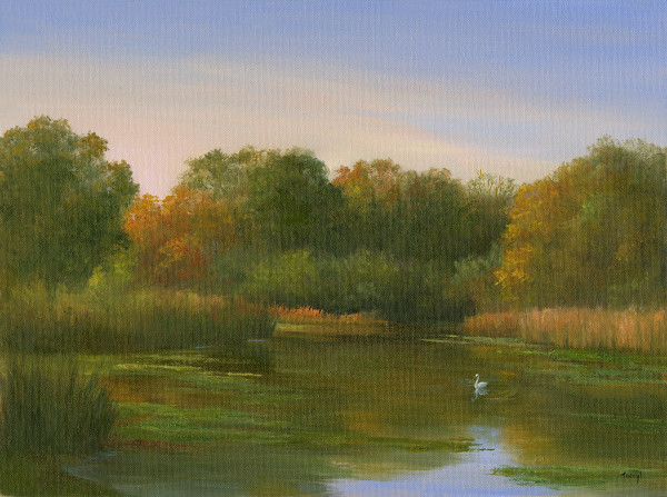 Swan on Baxter Mill Pond