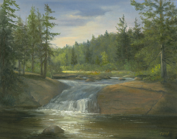 Bog River Falls, June by Tarryl Gabel