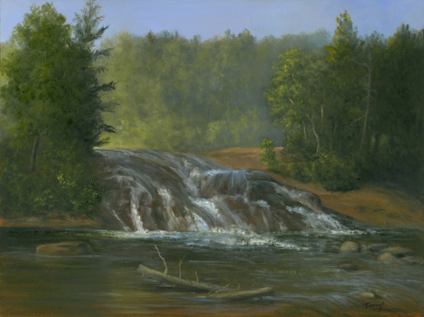 Bog River Falls  by Tarryl Gabel