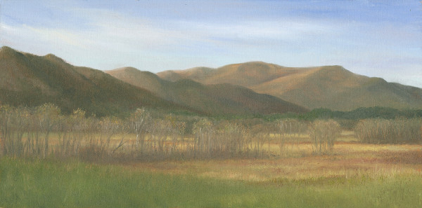 Cades Cove, early spring by Tarryl Gabel