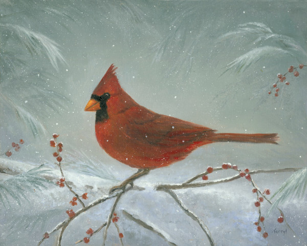 Cardinal-snow covered branch by Tarryl Gabel
