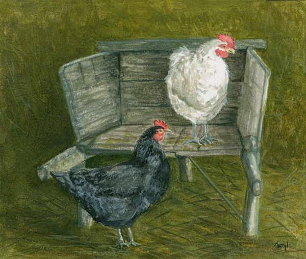 Chickens by Tarryl Gabel