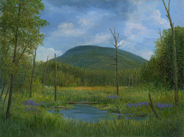 Clark Mountain and Marsh by Tarryl Gabel