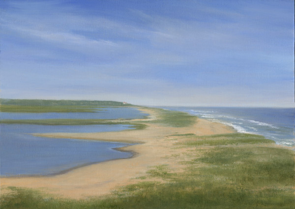 Overlook to the Coastguard Station, Cape Cod by Tarryl Gabel