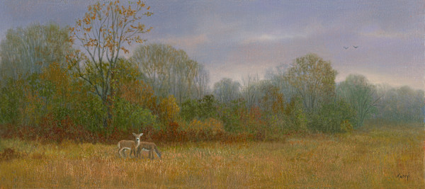 Deer grazing along misty treeline by Tarryl Gabel