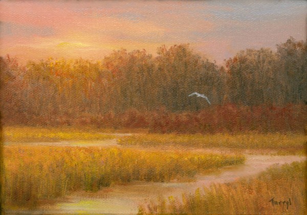 Autumn Sunset-Egret in flight by Tarryl Gabel